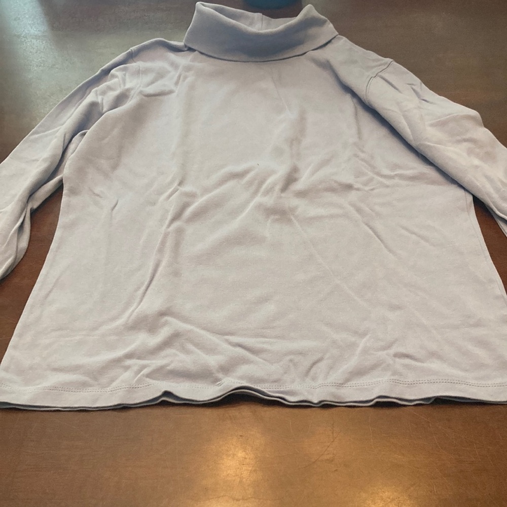 L.L. Bean Sky Blue Turtleneck Long Sleeve Top